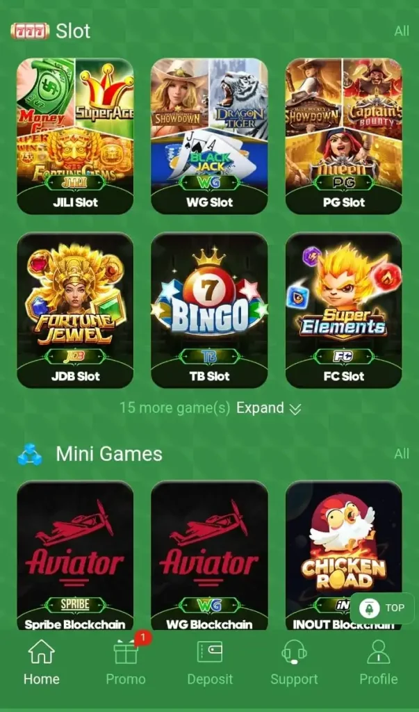 FD22 Game